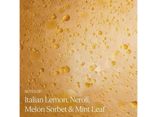 L'Occitane Scalp Night Serum 160 Fluid Ounces