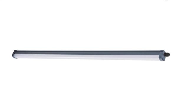 Philips Vesitiivis, Pinta, 1 lamppu(a), 4000 K, IP65, Harmaa