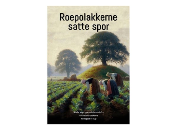 Rømlingene satte spor | Lise Bostrup, Alfred Gynther Christensen, Torsten Elsvor | Språk: Dansk