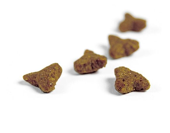 Josera 9940, Voksen, Fjærfe, Laks, 400 g, Kornfritt