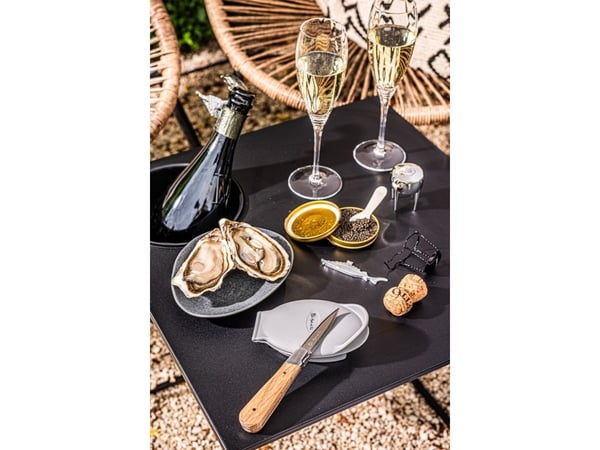 LAGUIOLE Oyster Luxury Line Set The Exclusive Edition