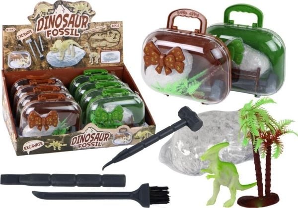 Arkeolog Wykopaliska Dinosaurs W Walizce Odkrywca