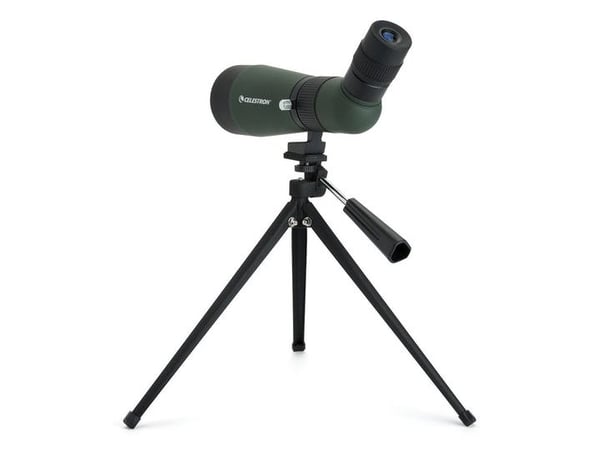 Celestron LandScout 12-36x60mm, 75 mm, 280 mm, 135 mm, 550 g, Grønn