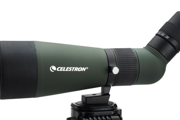 Celestron LandScout 12-36x60mm, 75 mm, 280 mm, 135 mm, 550 g, Grønn