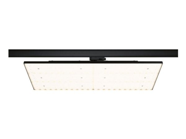 Paulmann 96582, Spotlight på skinne, Ikke-utskiftbare pærer, LED, 80 W, 3000 K, Sort