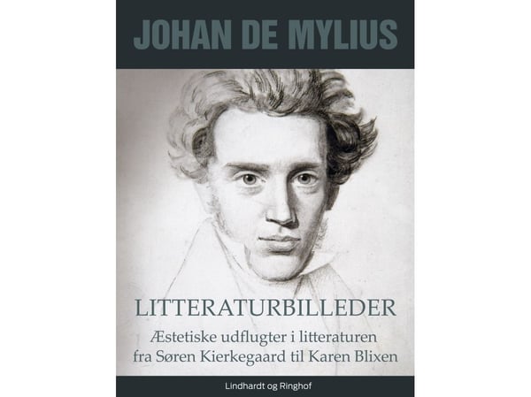 Litteraturbilder: Estetiske utflukter i litteraturen fra Søren Kierkegaard til Karen Blixen | Johan de Mylius | Språk: Dansk