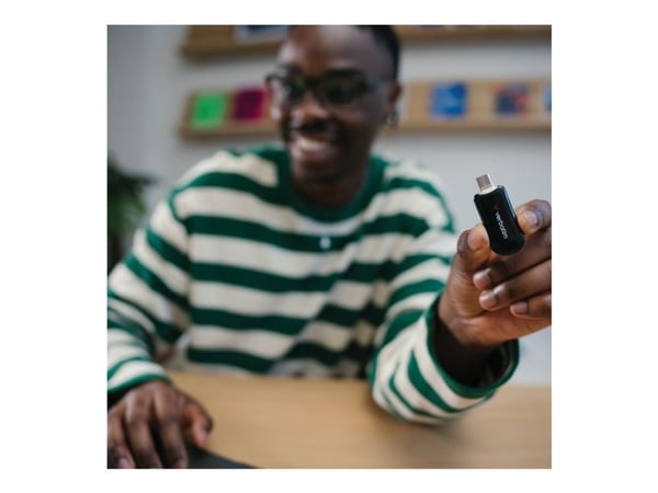 Verbatim Plectra - USB-flashstasjon - 256 GB - USB 3.2 Gen 1 / USB-C - svart