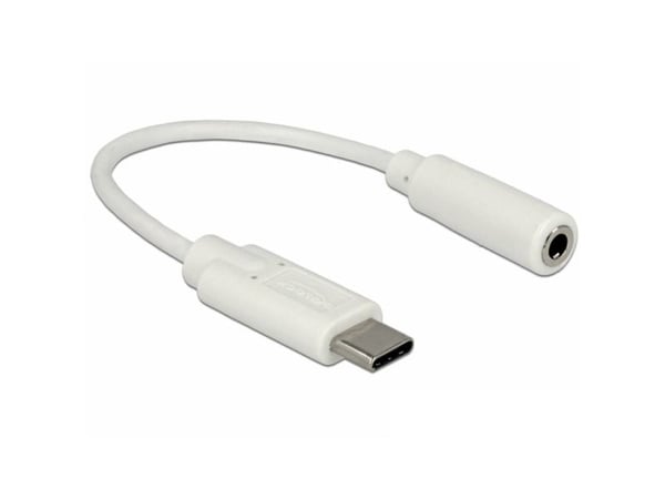 Delock - Lydadapter - USB-C hann til stereo mini-jack hunn - 14 cm - hvit