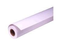 Epson Presentation Matte Paper - Matt - Rull A1 (61,0 cm x 25 m) - 172 g/m² - 1 rull(er) papir - for SureColor SC-P10000, P20000, P6000, P7000, P75...
