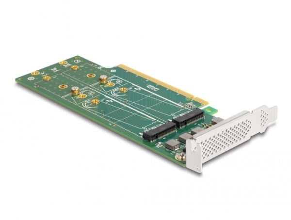 Delock - Lagringskontroll - gaffelpartisjon, 110 mm - M.2 NVMe-kort - lav profil - PCIe 4.0 x16
