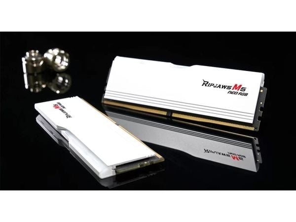 G.Skill Ripjaws M5 RGB F5-6000J3040G32GX2-RM5NRW, 64 GB, 2 x 32 GB, DDR5