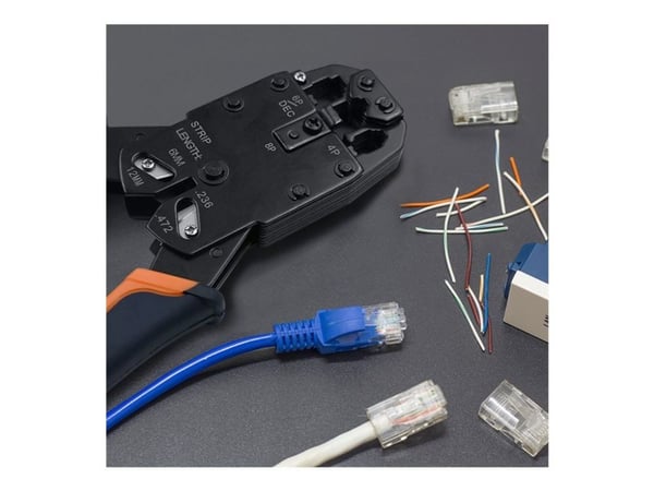 Qoltec - Nettverkkontakt - RJ-45 (hann) - UTP - CAT 6 - gjennomsiktig (en pakke 100)