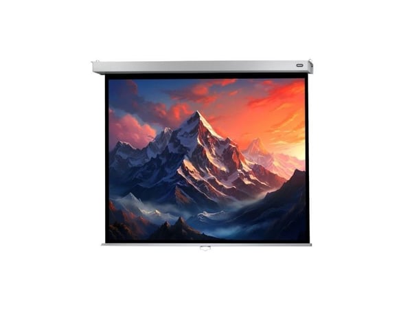 Celexon Manual Professional Plus Data format - Projeksjonsskjerm - takmonterbar, veggmonterbar - 79" (200 cm) - 4:3 - Matthvit - hvit