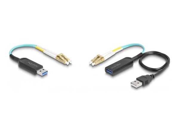 Delock - USB-jatkojohto - vastaanotin - jopa 100 m:iin asti