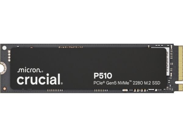 Avgjørende? P510 2TB PCIe Gen5 NVMe 2280 M.2 SSD NVMe M.2