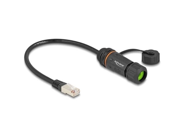 Delock - Nettverksforlengelseskabel - RJ-45 (hann) til RJ-45 (hunn) - 25 cm - 6 mm - STP - CAT 6a - sealing cap, M20 thread, dust and waterproof (I...