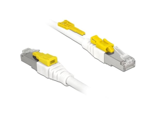 DeLOCK Secure - Koppeledning - RJ-45 (hann) til RJ-45 (hann) - 3 m - STP - CAT 6a - halogenfri - hvit