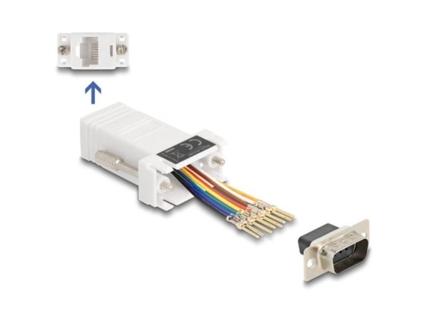 Delock Assembly Kit - Seriell adapter - DB-9 (hann) skrubar til RJ-45 (8 pin) (hunn) - individually assignable serial interface - hvit