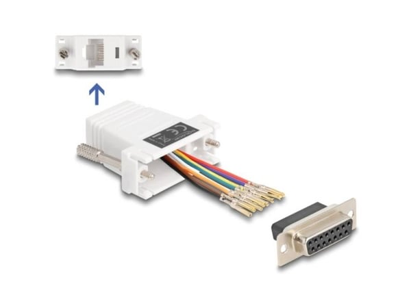 Delock - Nettverksadapter - 15 pin D-Sub (DB-15) (hunn) skrubar til RJ-45 (hunn) - hvit