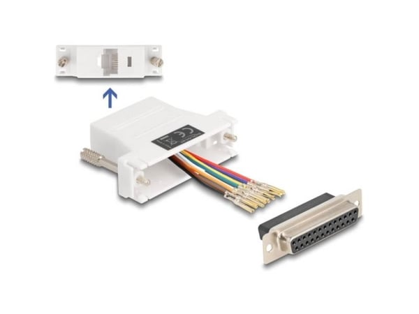 Delock Assembly Kit - Seriell adapter - DB-25 (hunn) skrubar til RJ-45 (8 pin) (hunn) - individually assignable serial interface - hvit