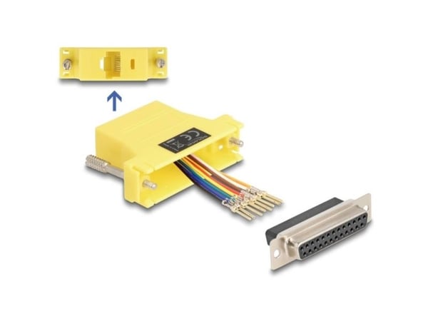 Delock - Seriell adapter - DB-25 (hunn) til RJ-45 (hunn) - CAT 5/5e/6 - tommelskruer - gul