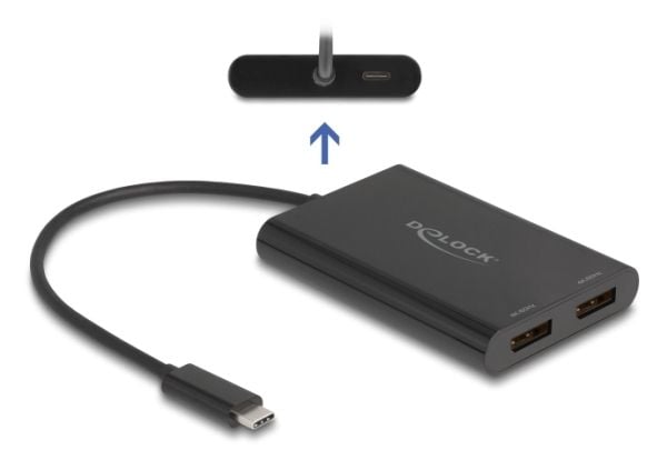 Delock - Video adapter - USB-C (hann) til DisplayPort, USB-C (PD) (hunn) - 20 cm - USB Power Delivery (100 W), støtte for 4K 60 Hz (3840 x 2160) - ...
