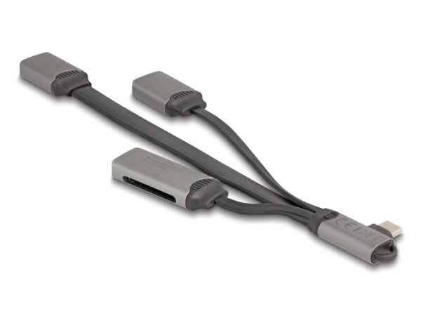 Delock 2-porttinen USB-keskitin, jossa on SD- ja Micro-SD-kortinlukija ja USB Type-C-portti