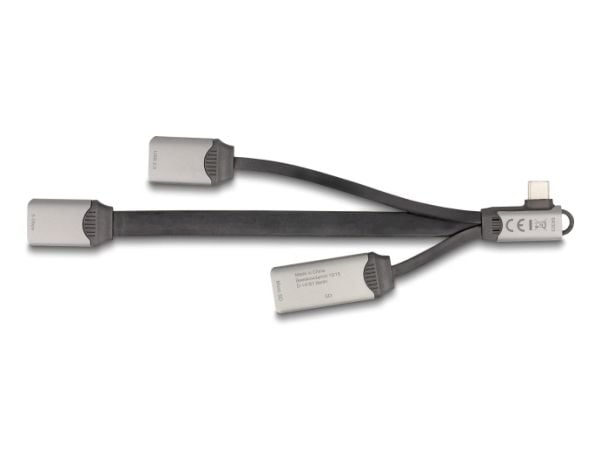 Delock 2-porttinen USB-keskitin, jossa on SD- ja Micro-SD-kortinlukija ja USB Type-C-portti