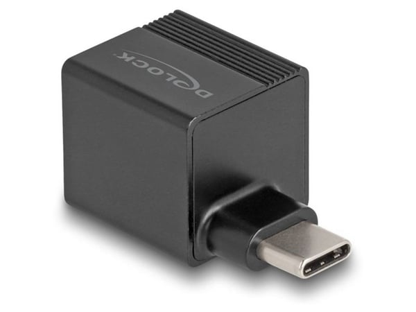 Delock Adapter til Gigabit LAN mini - Nettverksadapter - USB-C - Gigabit Ethernet x 1 - Svart (66462)