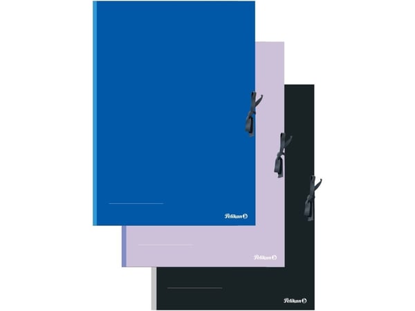 Pelikan 276870, Sirkuleringsmappe (flytende), A2, Fotoark kartong, Sort, Blå, Rosa, 3 stykker