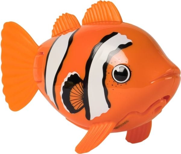 Rainbow Reef Fish - Clown Fish