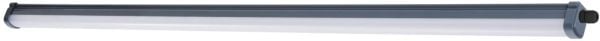 Philips Vesitiivis, Pinta, 1 lamppu(a), 4000 K, IP65, Harmaa