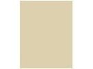 Artdeco Perfect Stick 06 Neutralizing Green 4 g