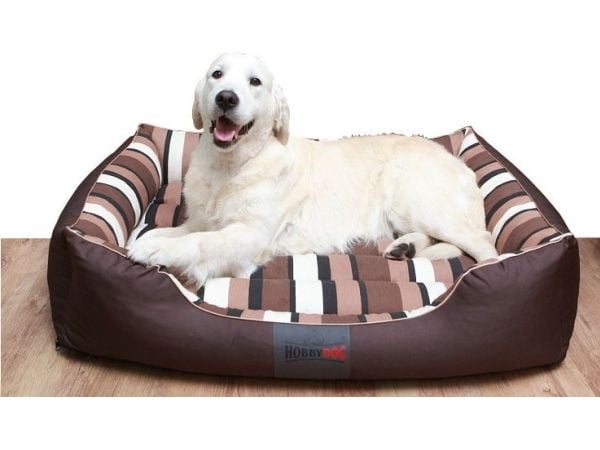 Hobbydog Comfort liggeplass - brun med kant XXXL