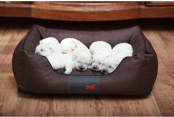 Hobbydog Comfort hundeseng grå med rød kant L