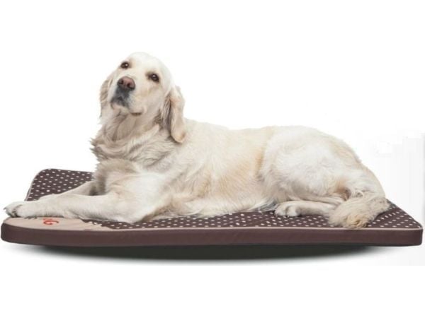 Hobbydog Madrass Lys - Mørkebrun XL