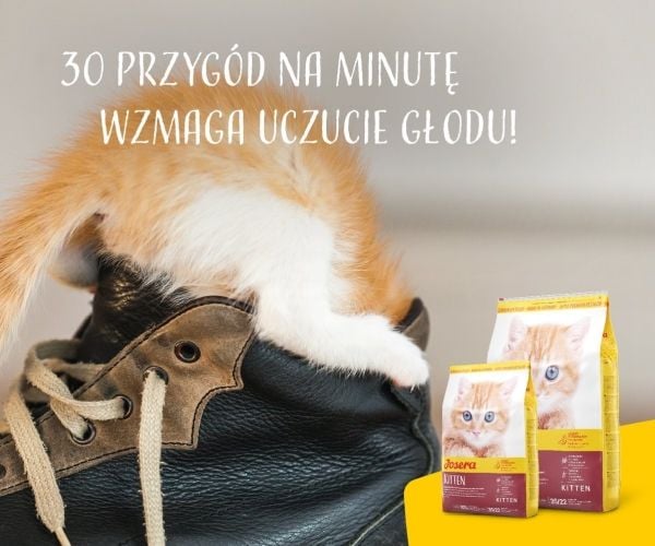 Josera Kitten, Killing, Enhver race, 10 kg