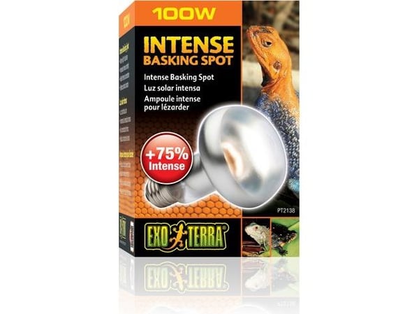 Hagen EXOTERRA pære INTENSE SPOT 100W