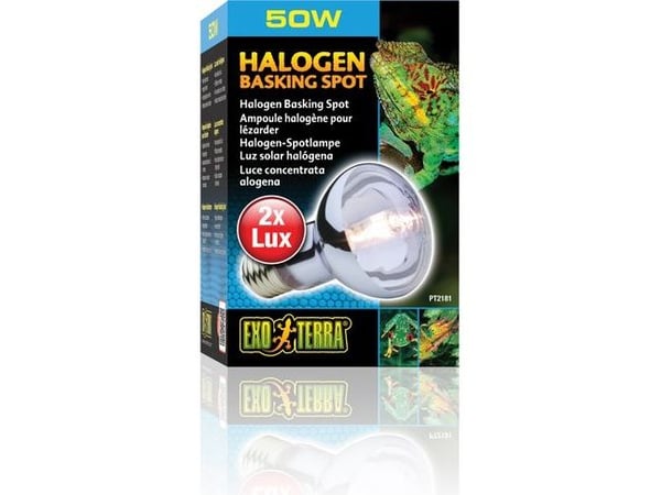 Hagen EXOTERRA HALOGEN SPOT 50W lamppu