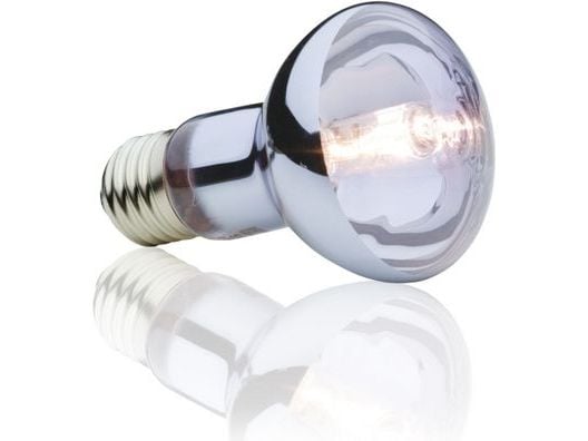Hagen EXOTERRA HALOGEN SPOT 50W lamppu