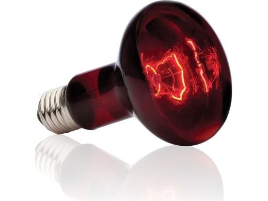 Hagen EXOTERRA ZAR. INFRARED SPOT 100W