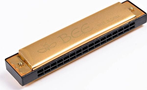 Dromedary Harmonica major