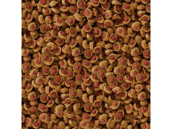 sera Professional Carnivor Nature, Grønn iguan, Planteetende reptil, Skilpadde, Universell, 1000 ml, 310 g
