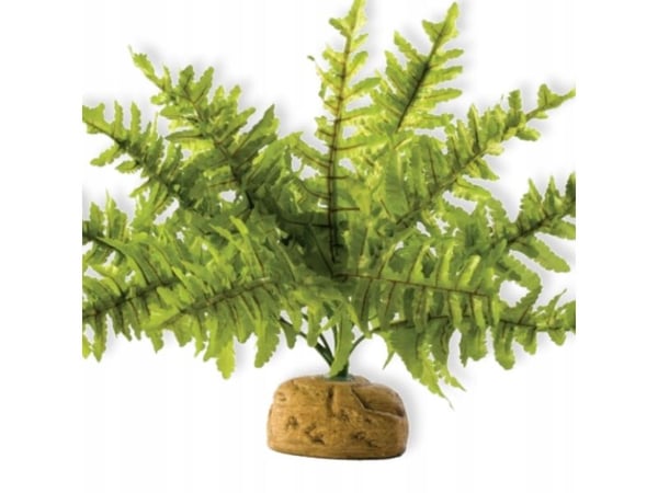 HAGEN HAG.ROSL.D/TERRA RAINFOREST BOSTON FERN 22CM 2990 - 58780