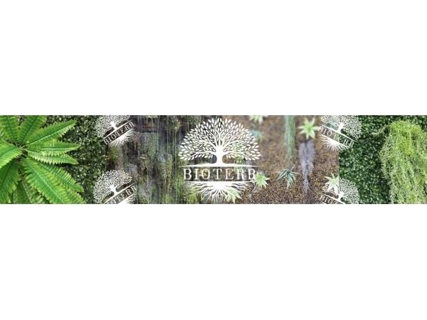 HAGEN HAG.ROSL.D/TERRA RAINFOREST BOSTON FERN 22CM 2990 - 58780