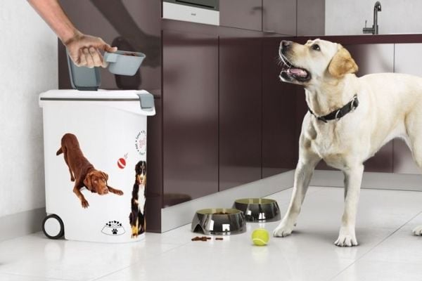 Curver Pet Life Foderbehållare för hund 10 kg