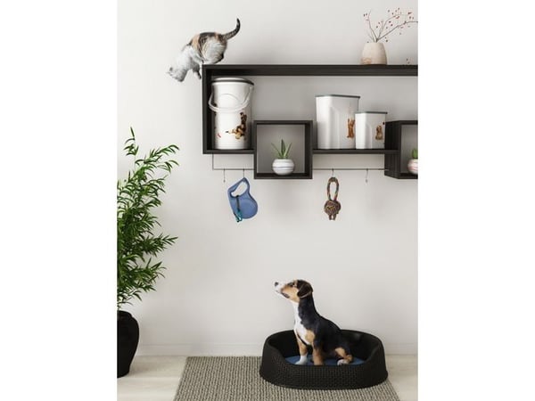 Curver Pet Life Foderbehållare för hund 10 kg