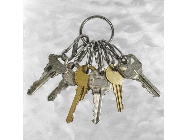 Nite Ize KeyRing, Karbinhake till nycklar, Rostfritt stål, Rostfritt stål, 22 g