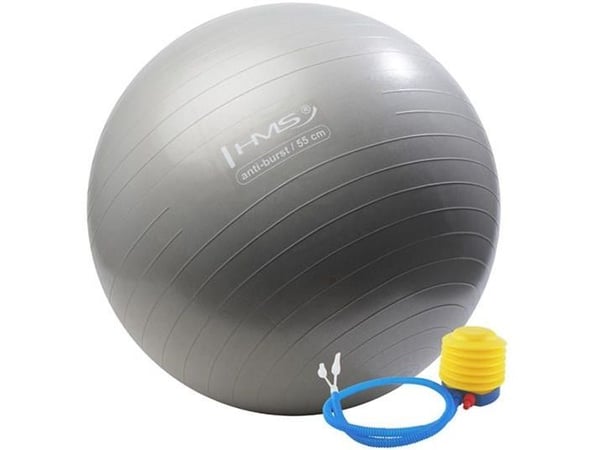 HMS Treningsball YB02 Anti-Burst 55 cm grafitt (17-42-116)