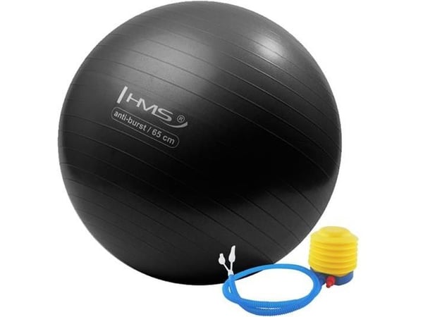 HMS Treningsball YB02 Anti-Burst 65 cm svart (17-42-122)